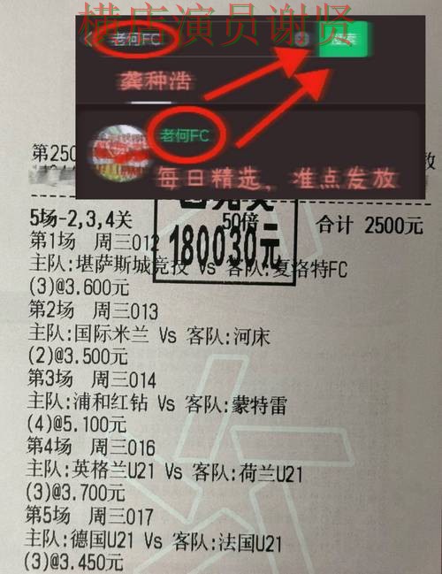世界杯投注最新排名与用户体验分析